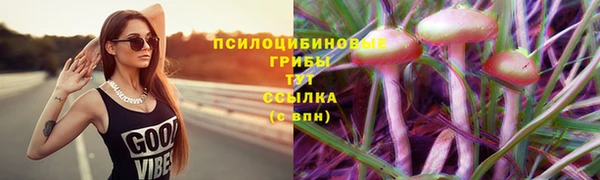 a pvp Володарск