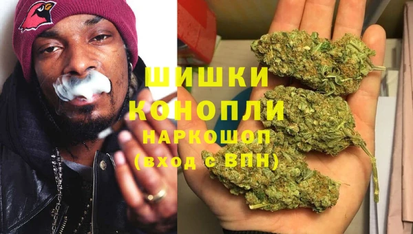 стаф Волоколамск