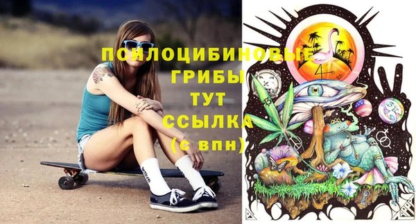 гидропоника Вязьма